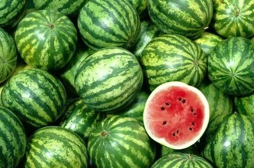 免费吃瓜大全QQ群与吃瓜娱乐联盟:网络热门事件中的两大聚集地