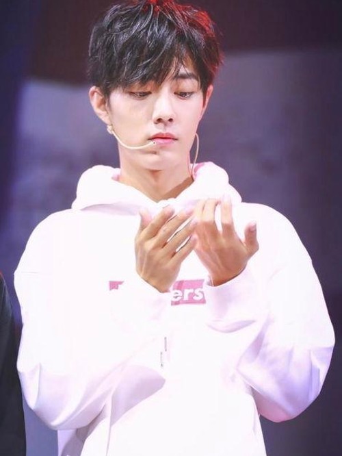 娱乐圈神秘“吃瓜”职业：轻松外表下的高压挑战