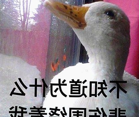 白敬亭动态背后：从低调新人到全民关注的“吃瓜”焦点